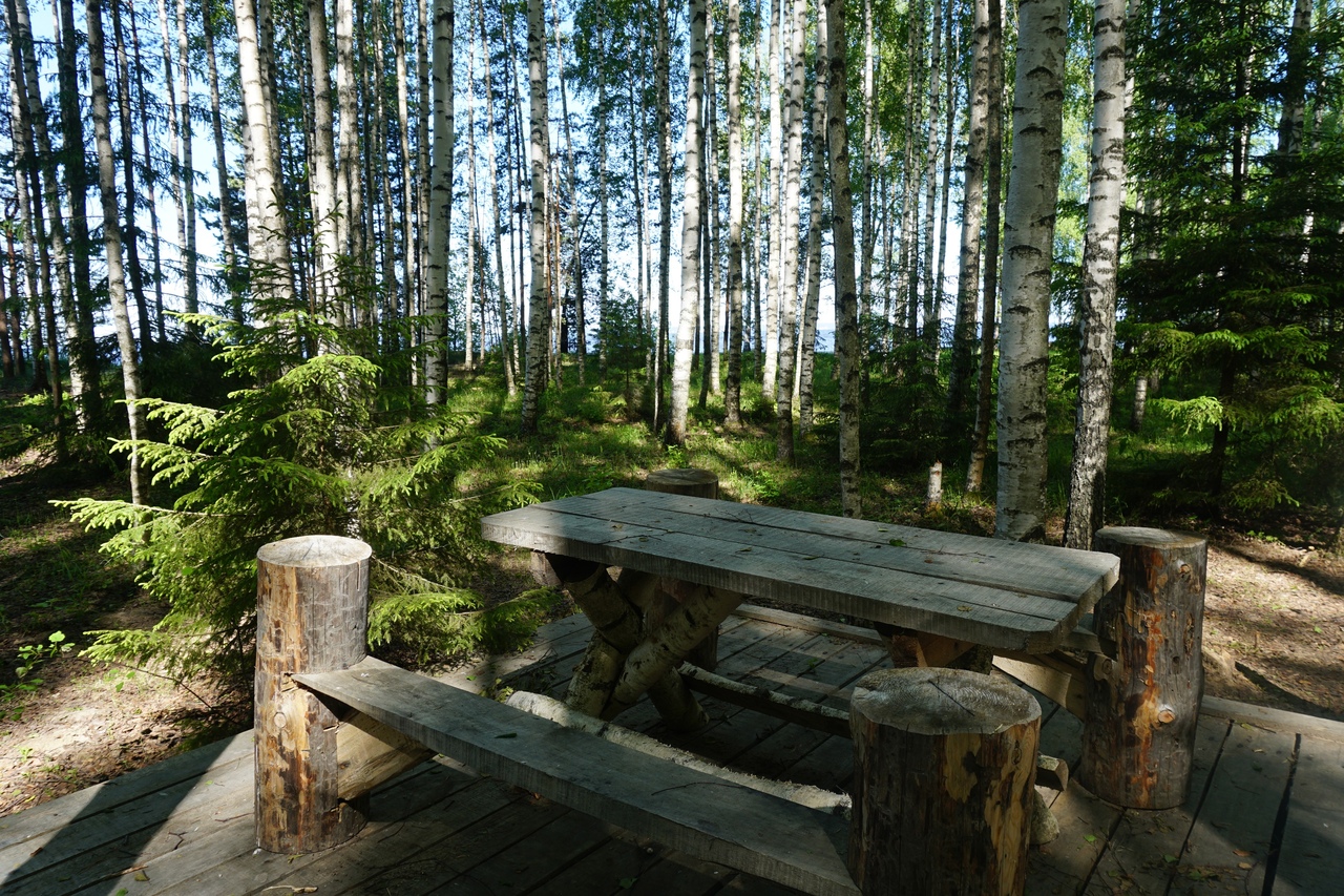 Фото Берег Грифона