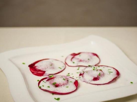 Фото Hotel Dubna Skala