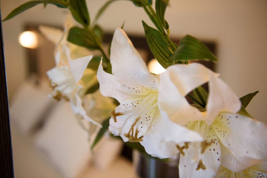 Фото Amalia Hotel