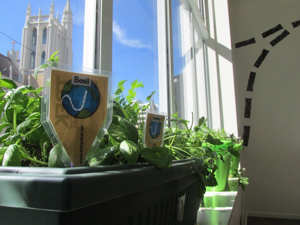 Фото Trek Global Backpackers