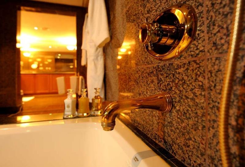 Фото Abha Palace Hotel