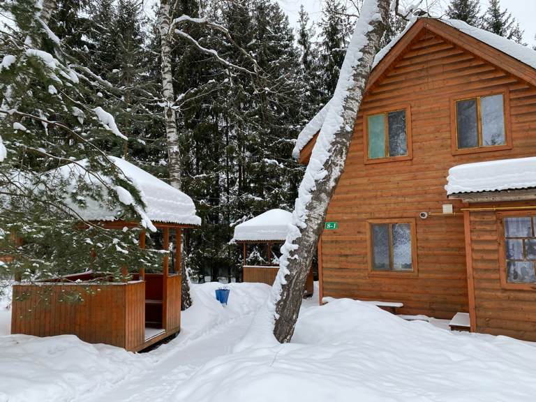 Фото Берёзовая роща