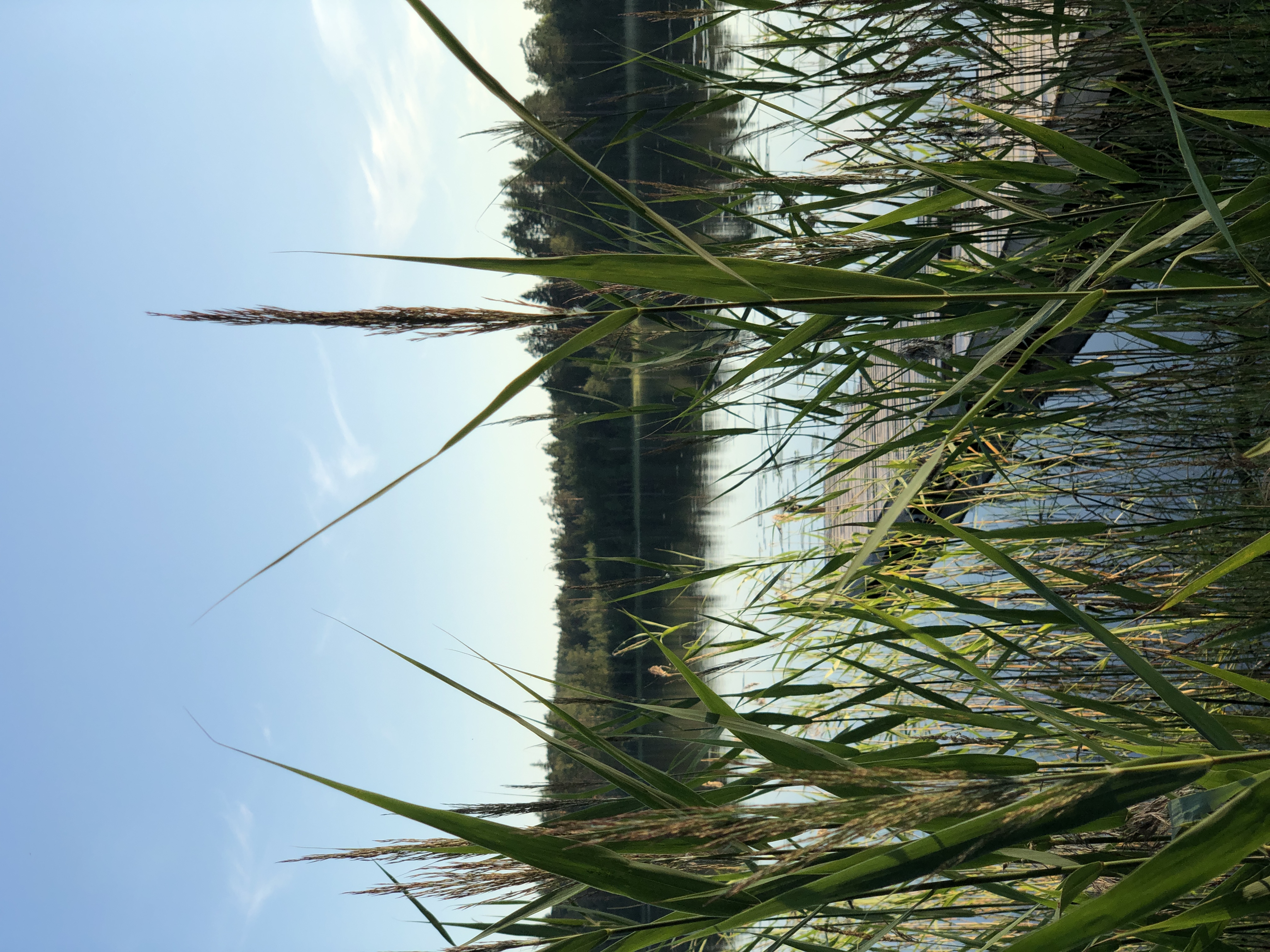 Фото Коттеджи Матриярви