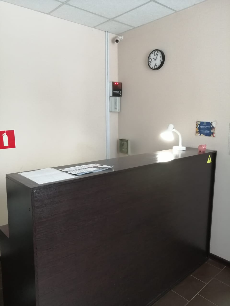 Фото Базилик