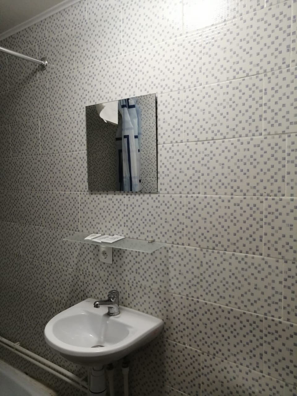 Фото Базилик