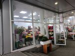 Фрейя (50 let VLKSM Street, 16И), floristeria
