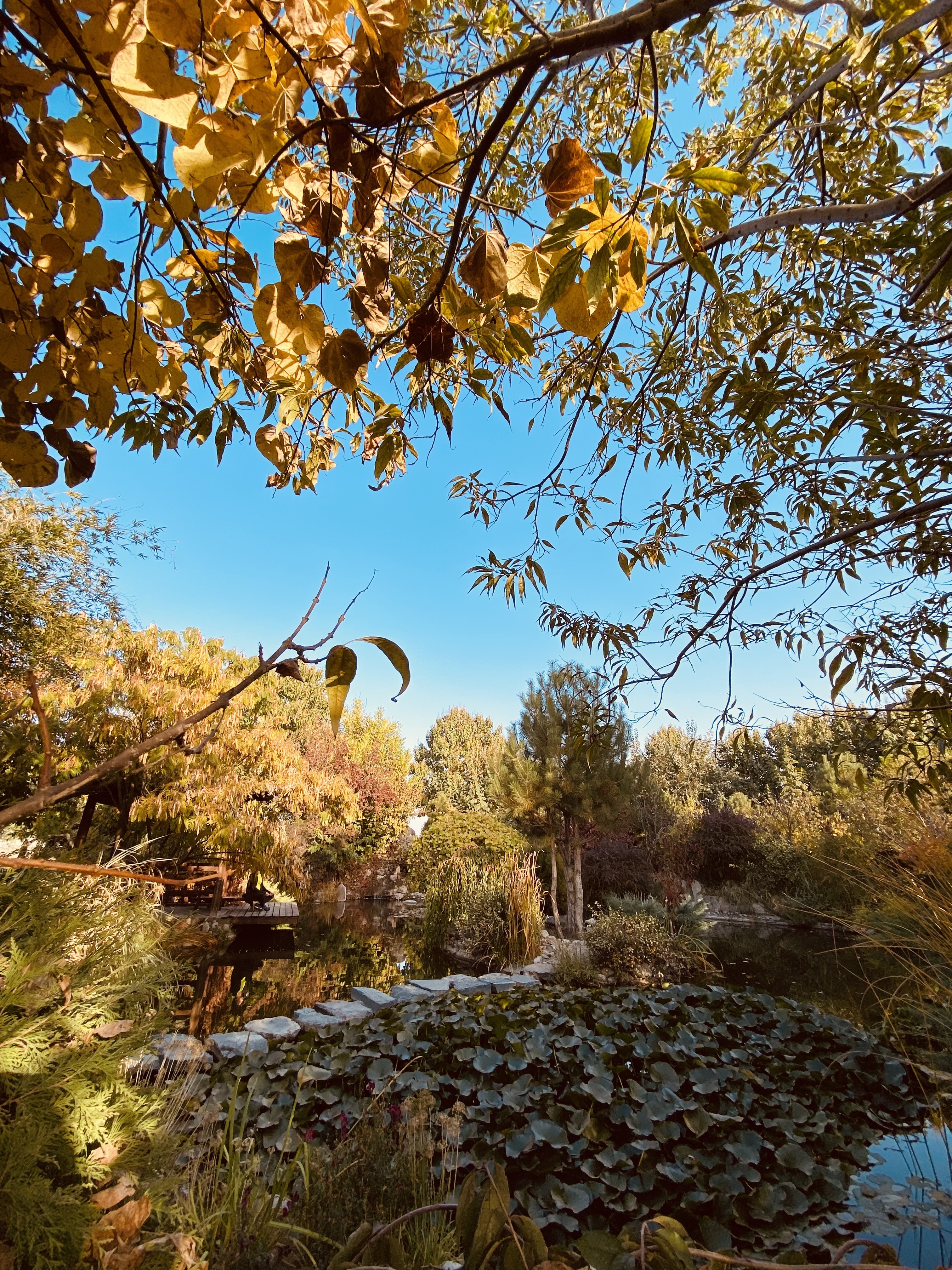 Фото Uzumfermer. uz