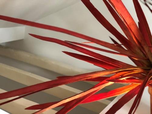 Фото Botanic Views Guest House