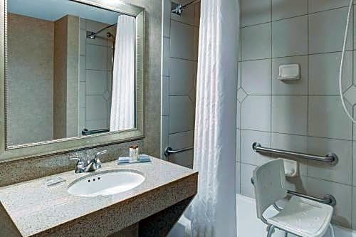 Фото Holiday Inn Tampa North