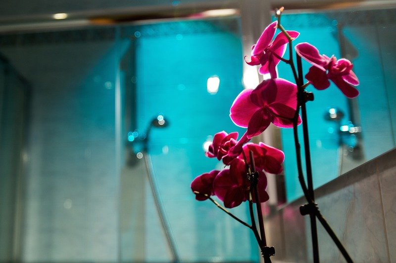 Фото Hotel Gabriella