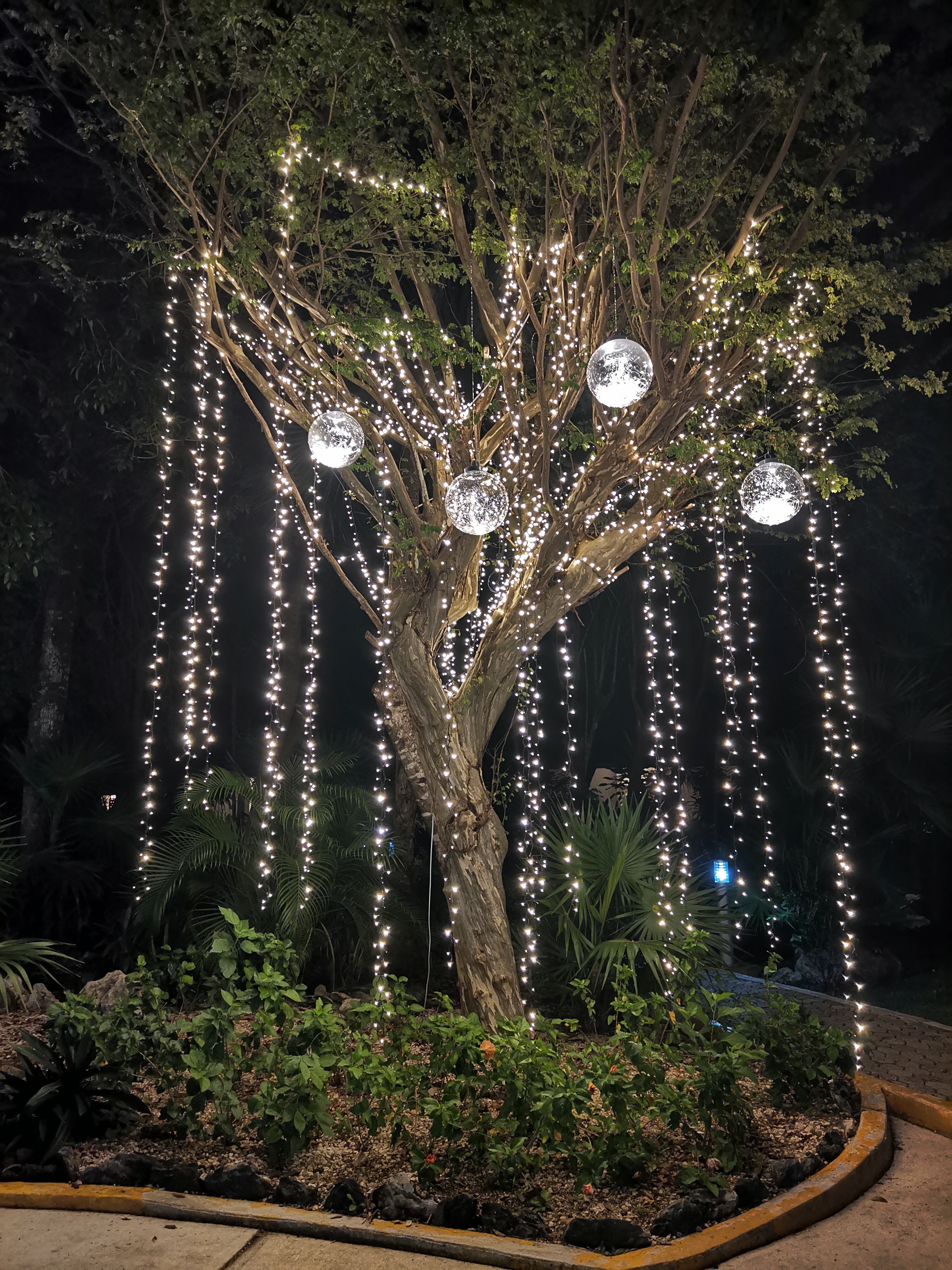 Фото Hotel Riu Lupita 