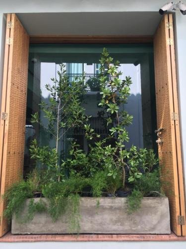 Фото Hotel Casona del Colegio