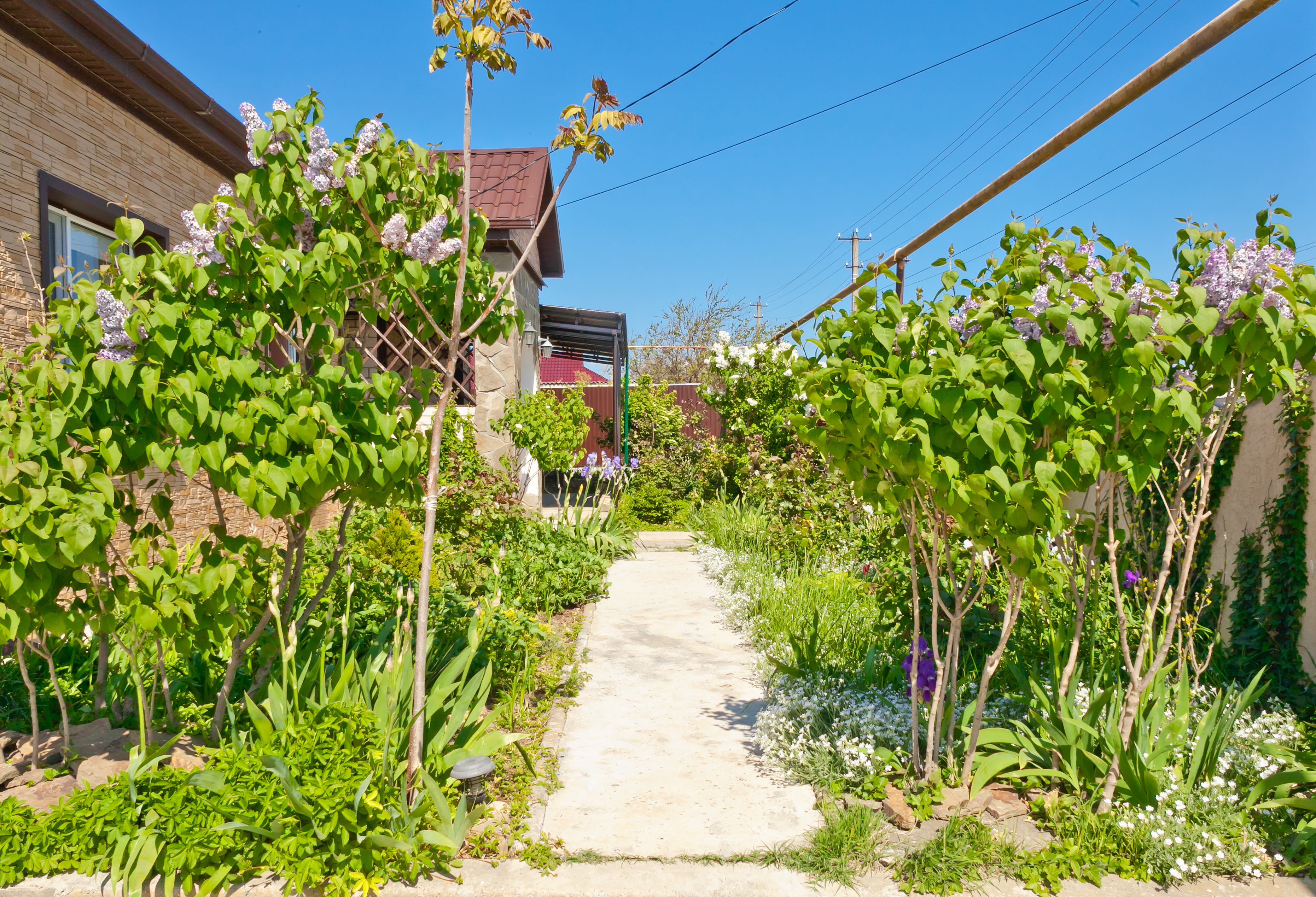 Фото Дом Ленивый Дельфин
