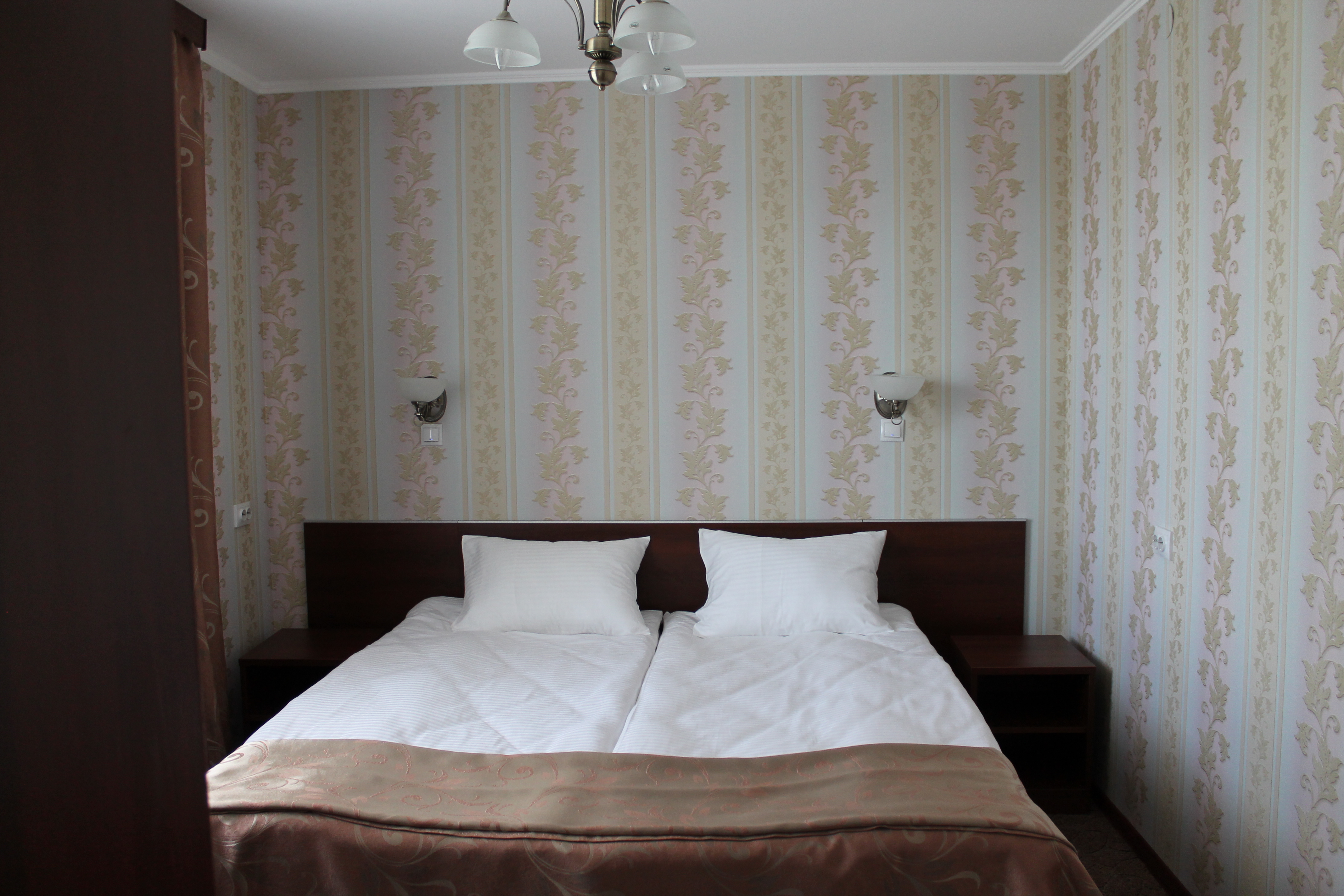 Фото Рыжий пёс