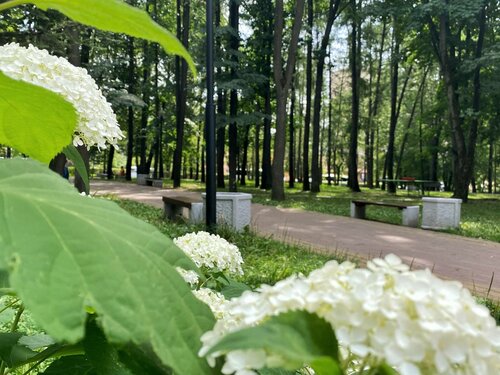 Парк культуры и отдыха Парк Стрекалова, Мытищи, фото