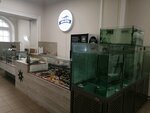 Akvaferma (Nevskiy Avenue, 35В), fish and seafood