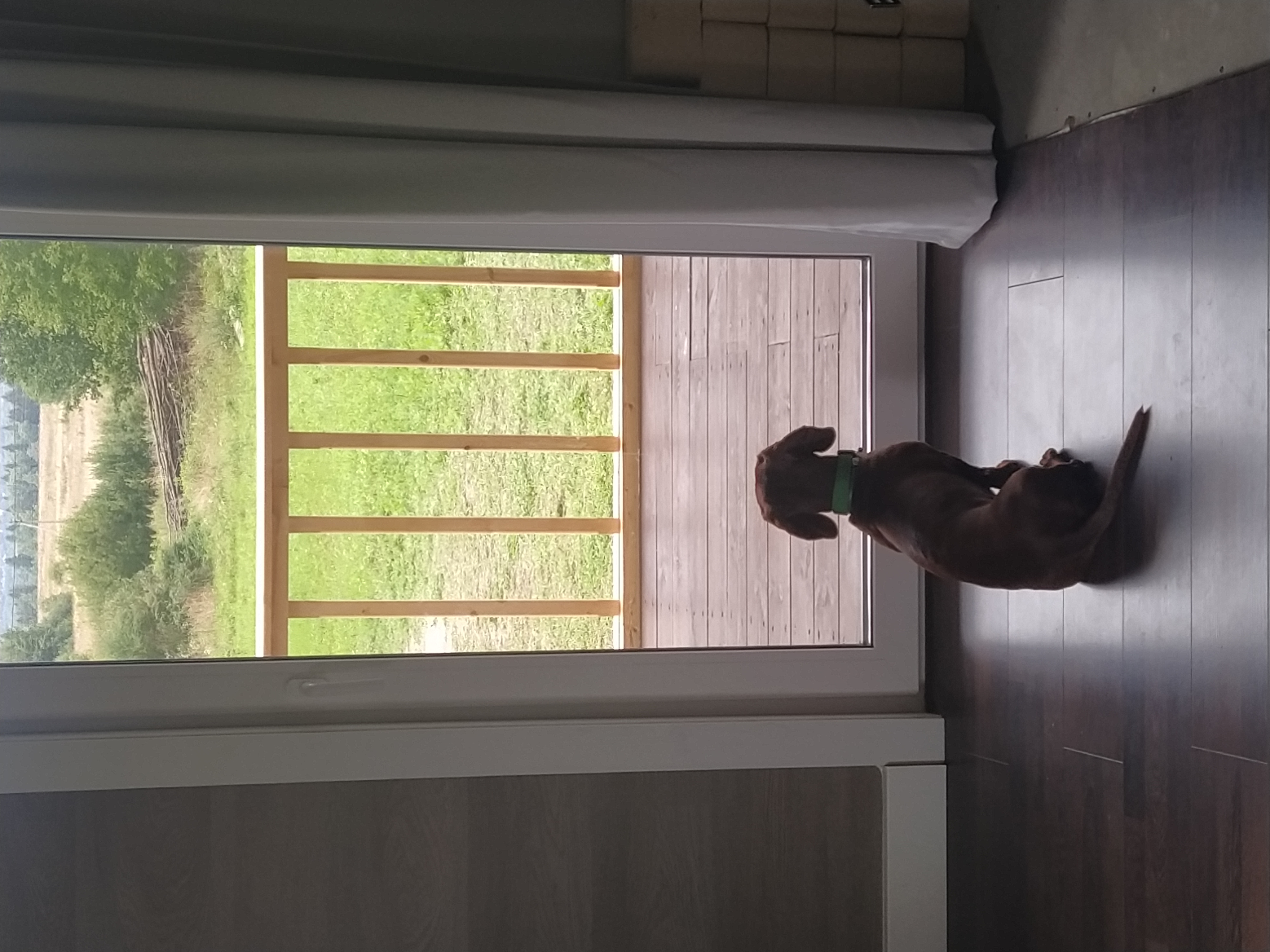 Фото Тундра Хаус Степаново