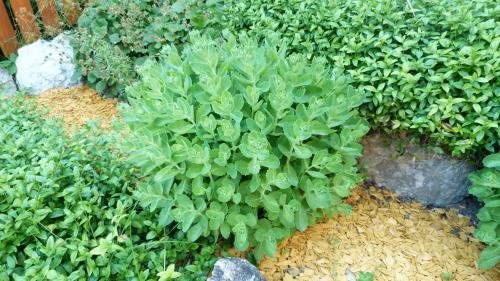 Фото Ferienwohnung Brandegg