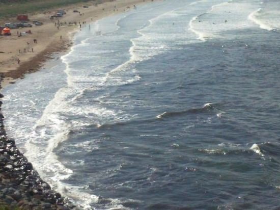 Фото Charles Bass House Bed & Breakfast