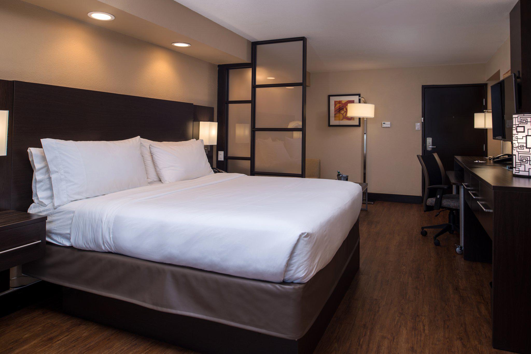 Фото Holiday Inn Express & Suites San Antonio Medical-Six Flags, an Ihg Hotel