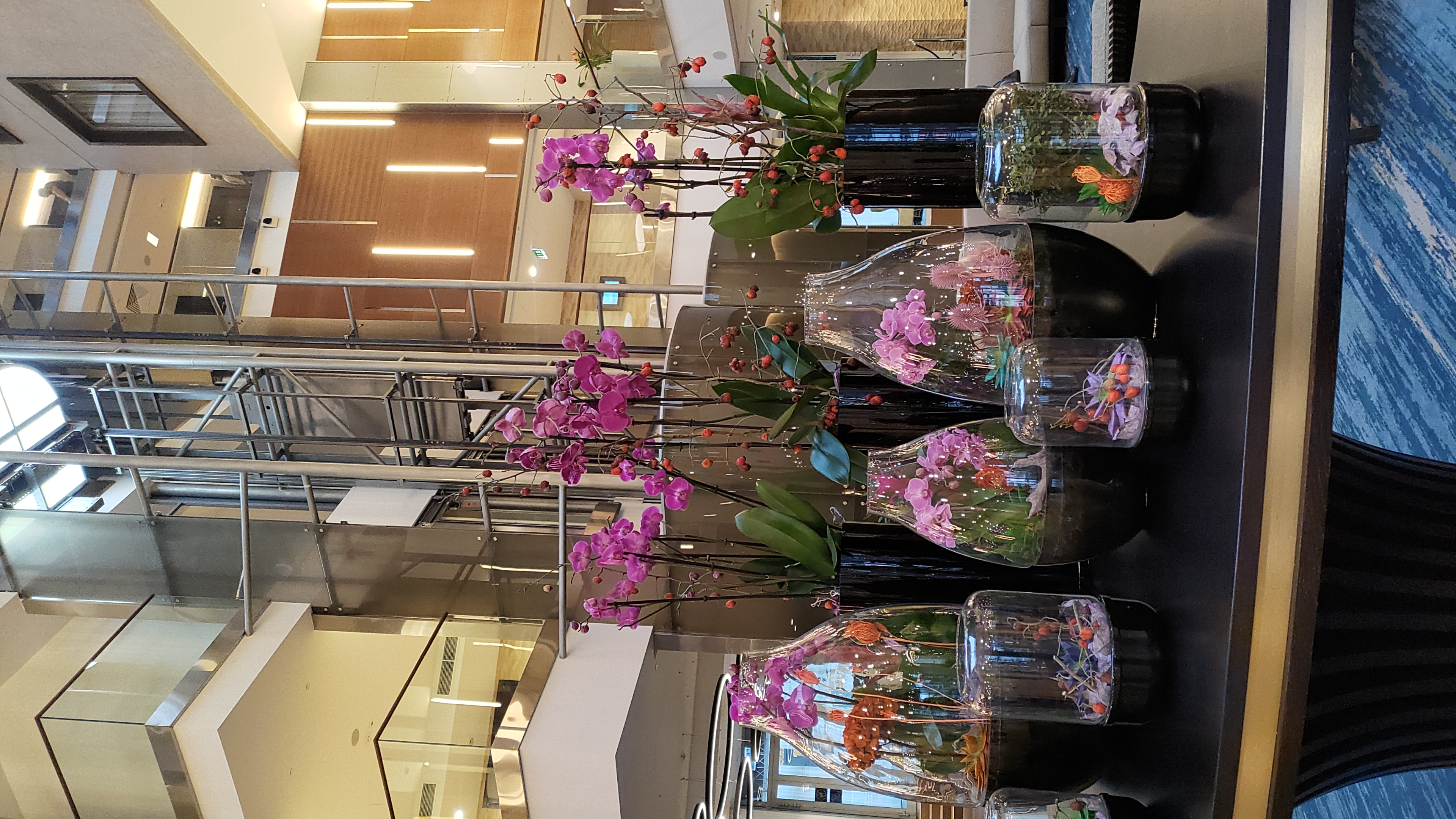 Фото DoubleTree by Hilton Moscow - Vnukovo Airport