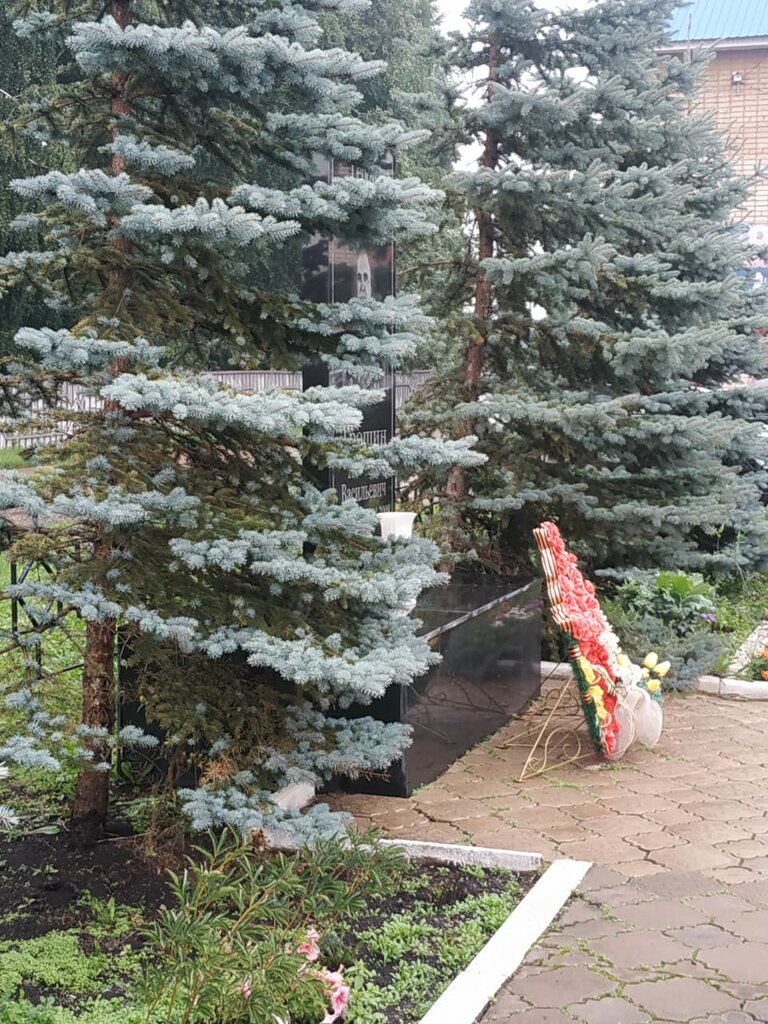Monumento, memorial Герой Советского Союза Алексей Васильевич Трошин, , foto