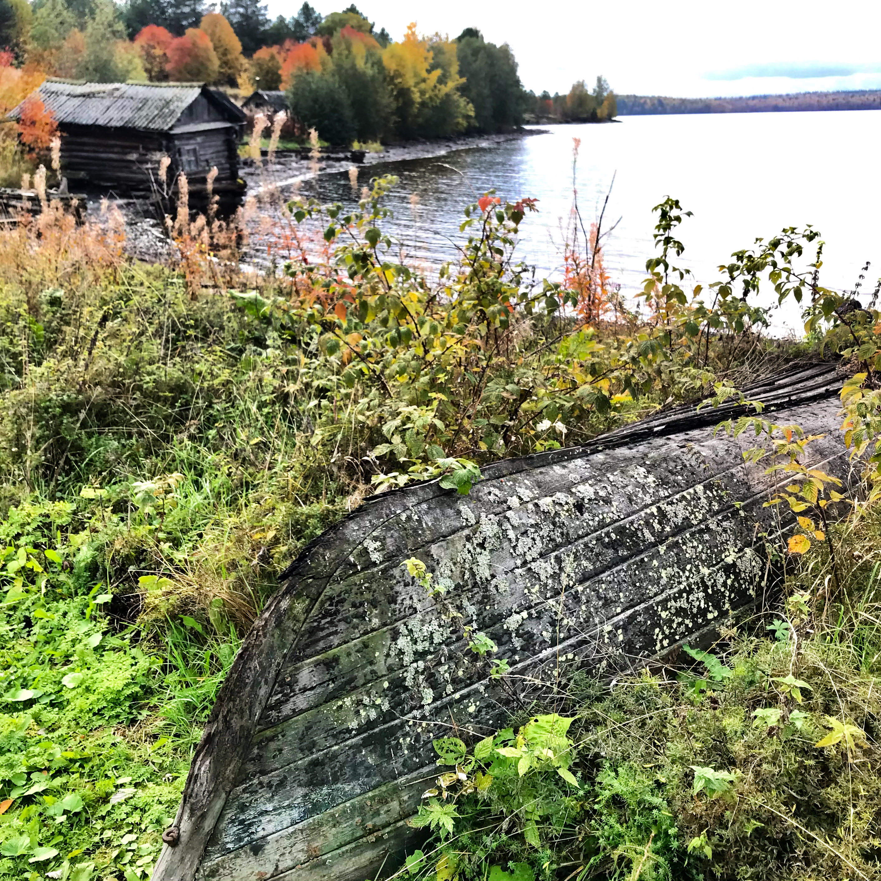 Фото Медвежий угол