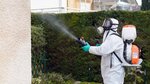 Pest Control Sochi (Tsentralniy Microdistrict, Roz Street, 95), desinfección, desinsectación, desratización