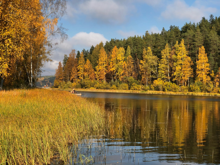 Фото Хутор Салокюля