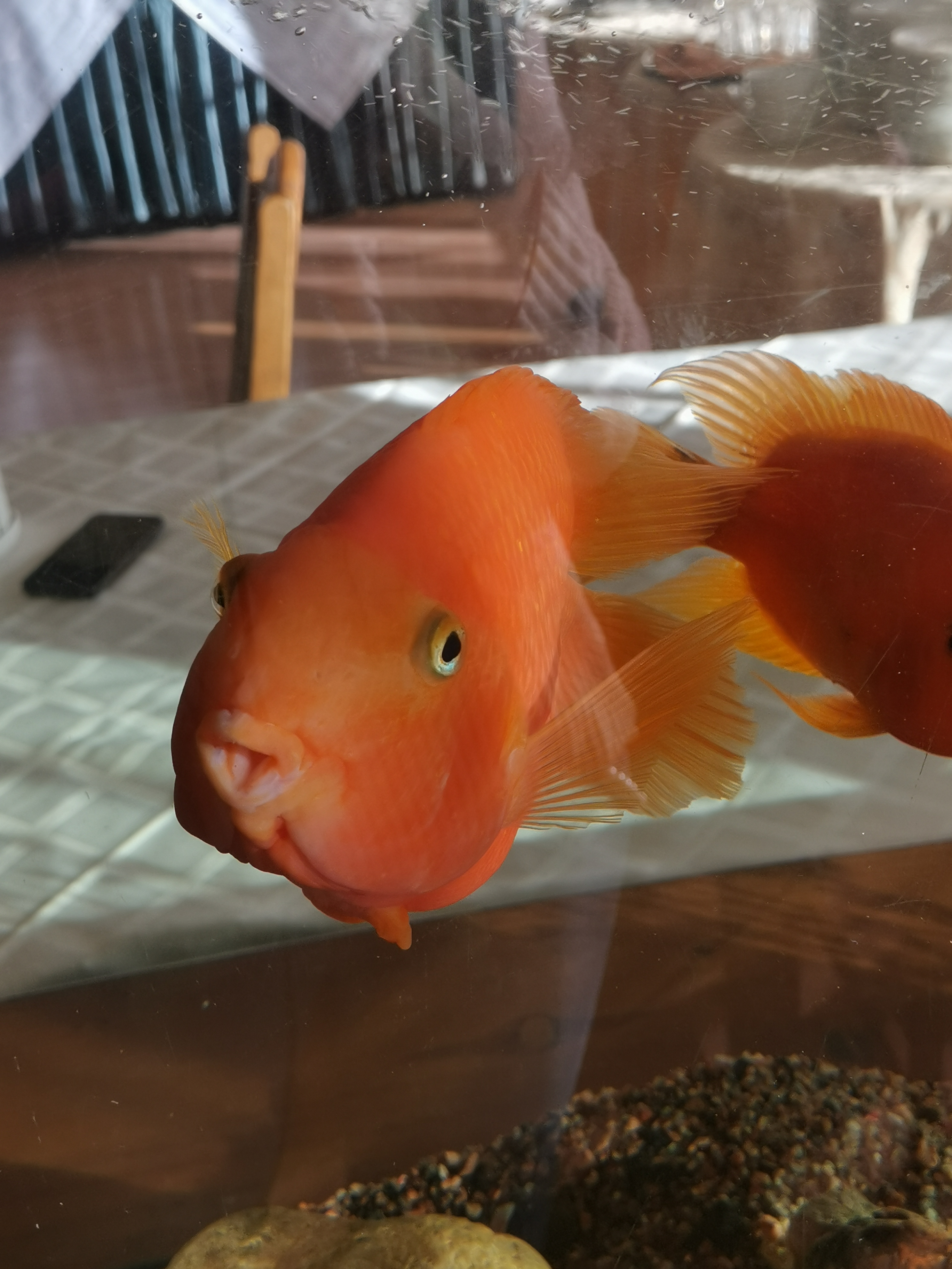 Фото Рижская