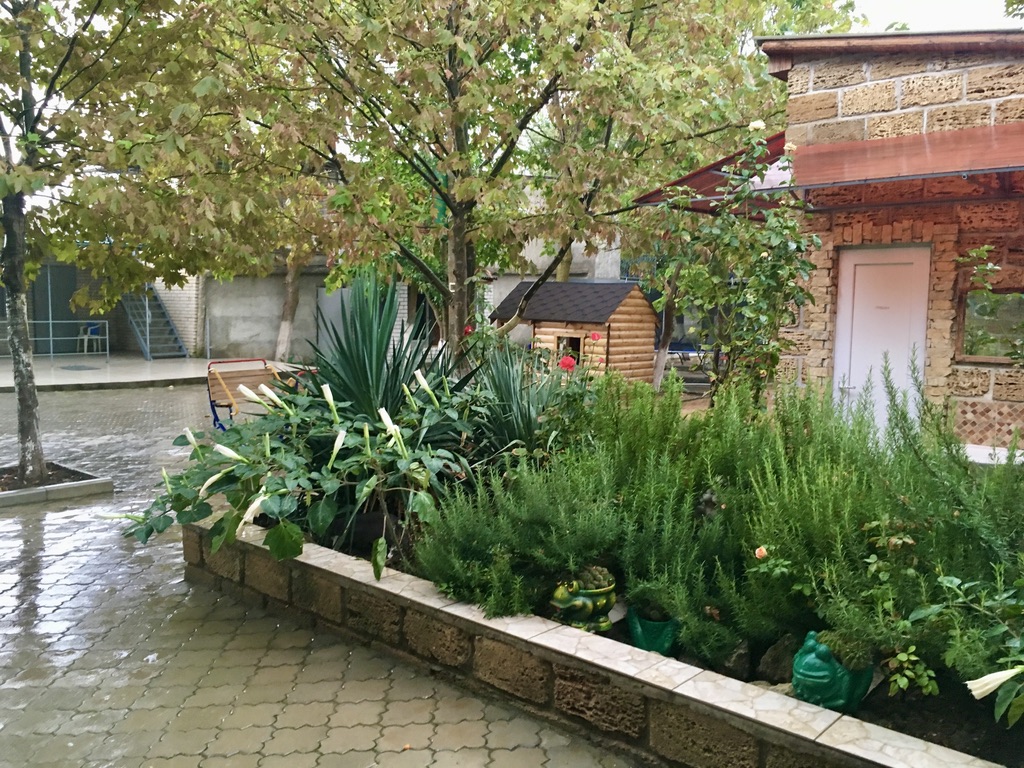 Фото Family House Midas