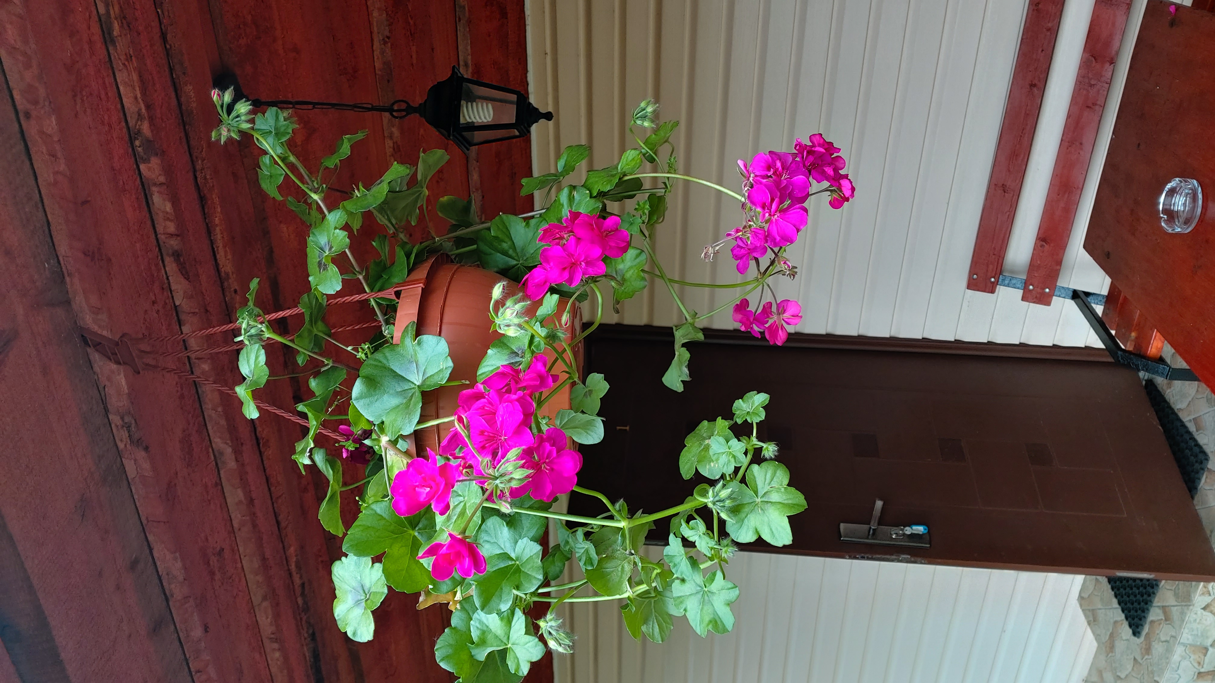 Фото На берегу