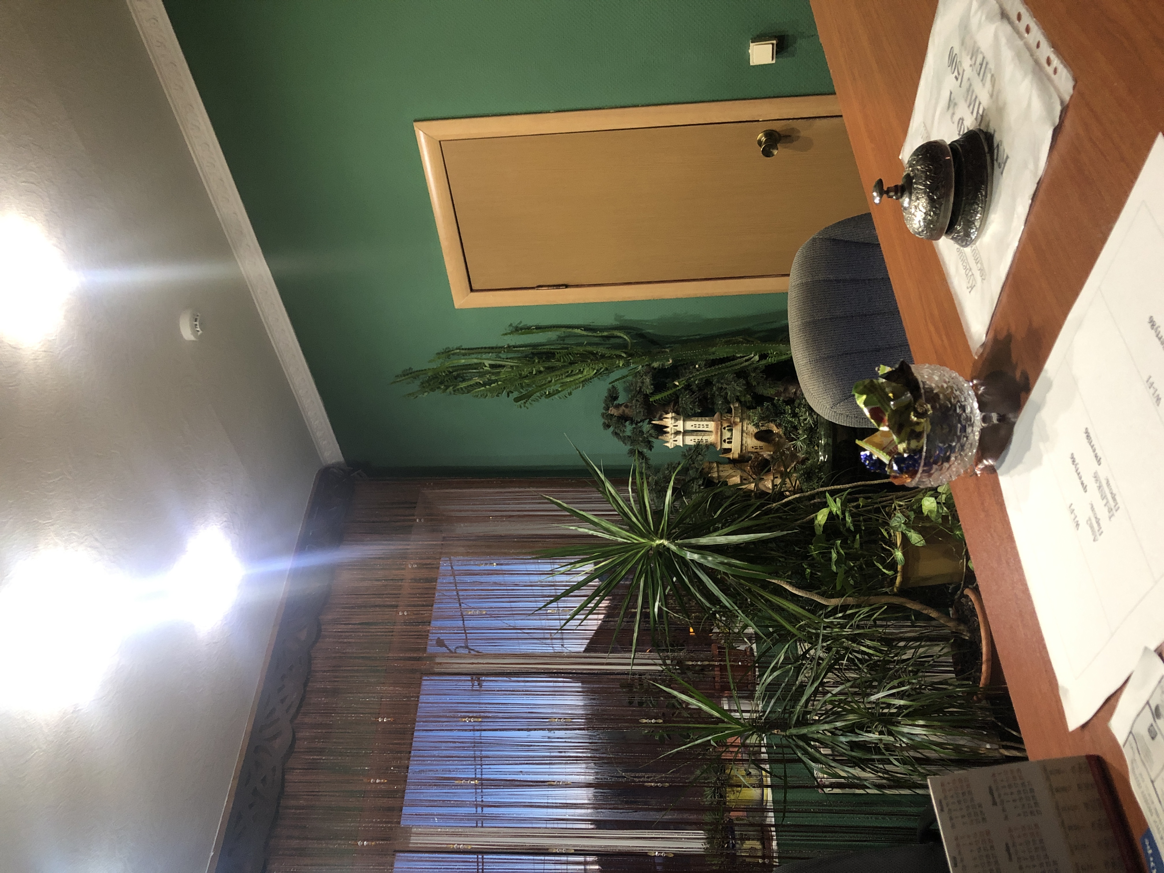 Фото Солнечная