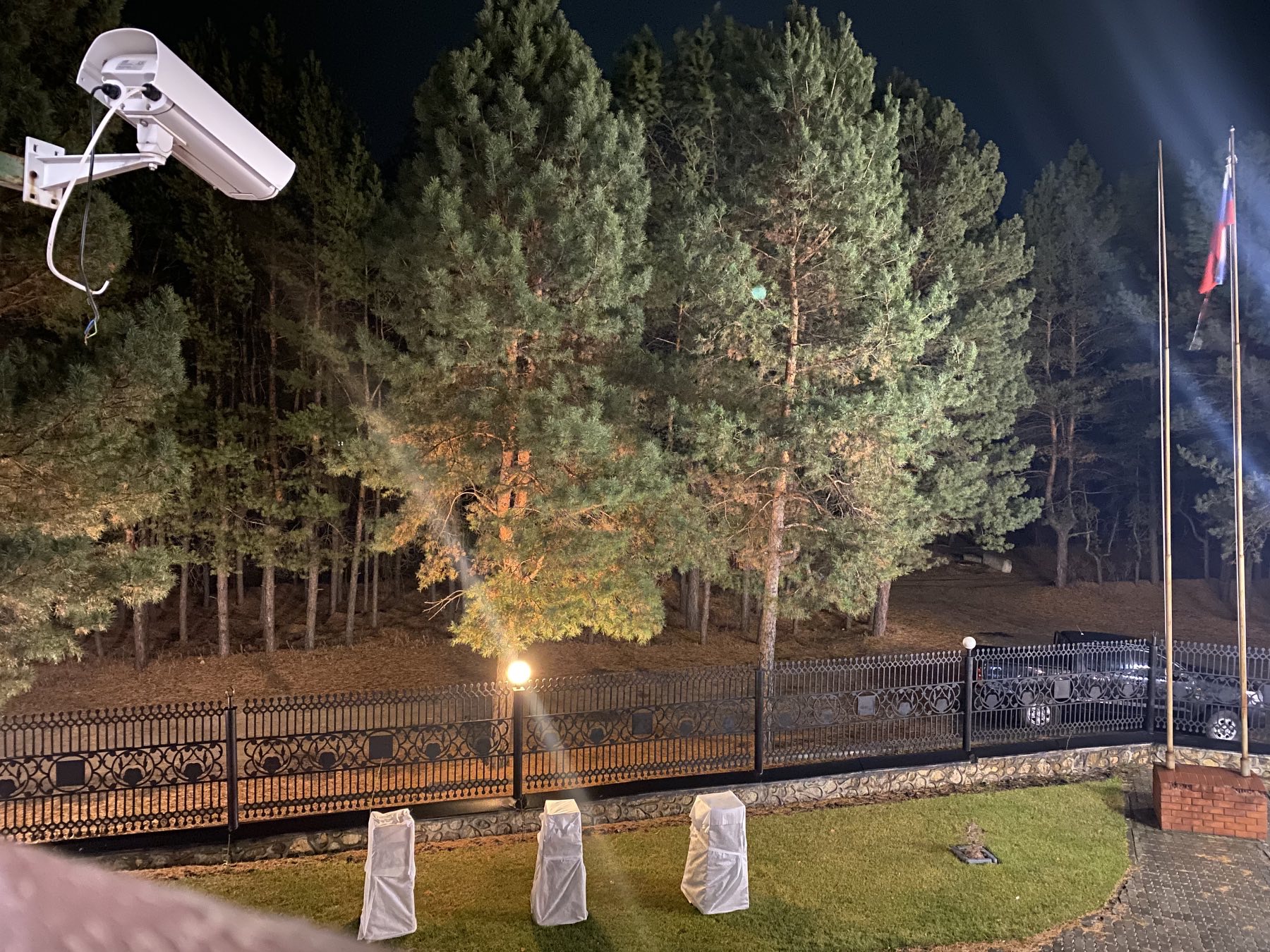 Фото Изумрудный лес