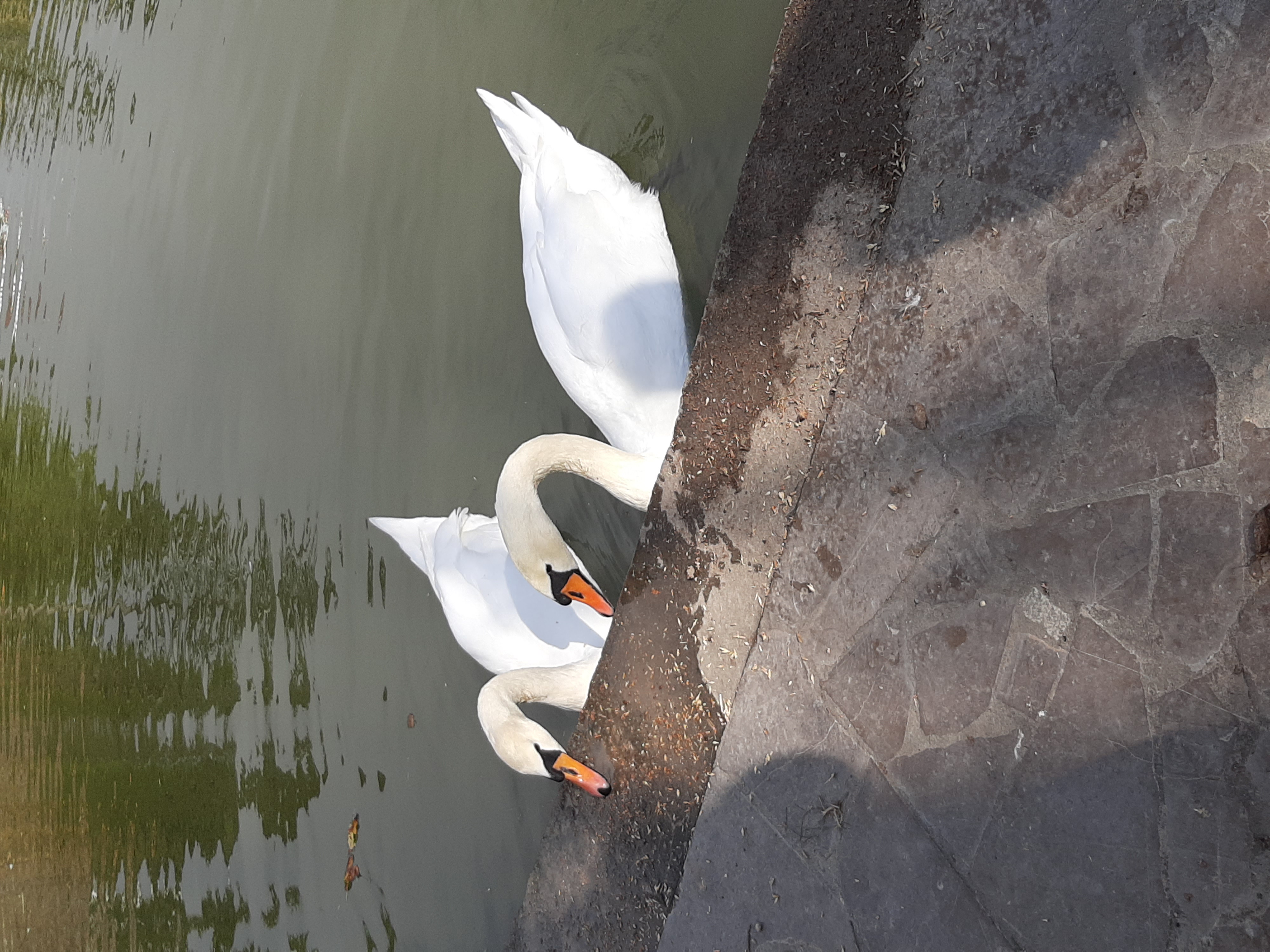 Фото ТОК Судак