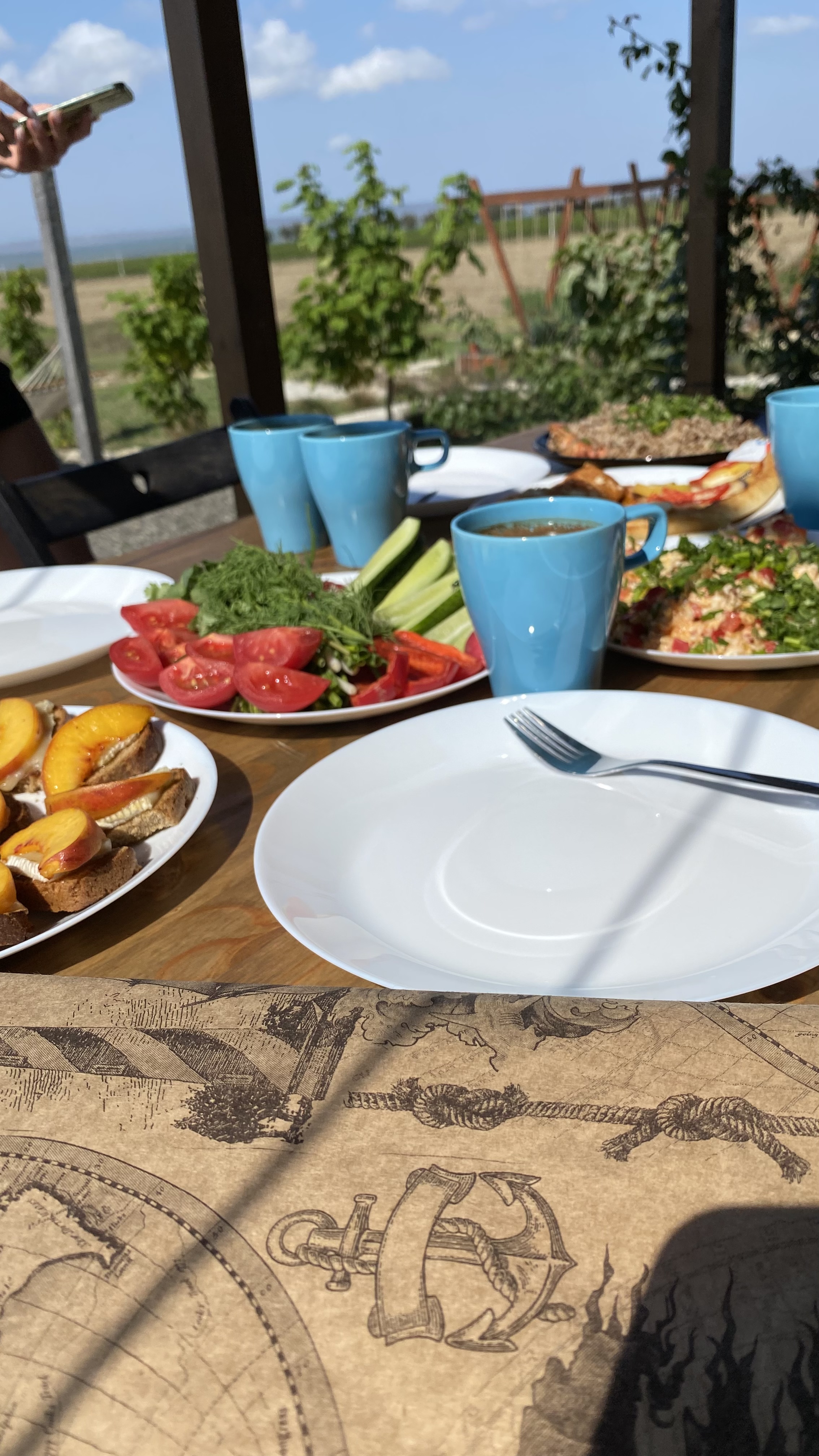 Фото Фридом