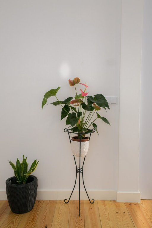 Фото Beato Premium Apartment