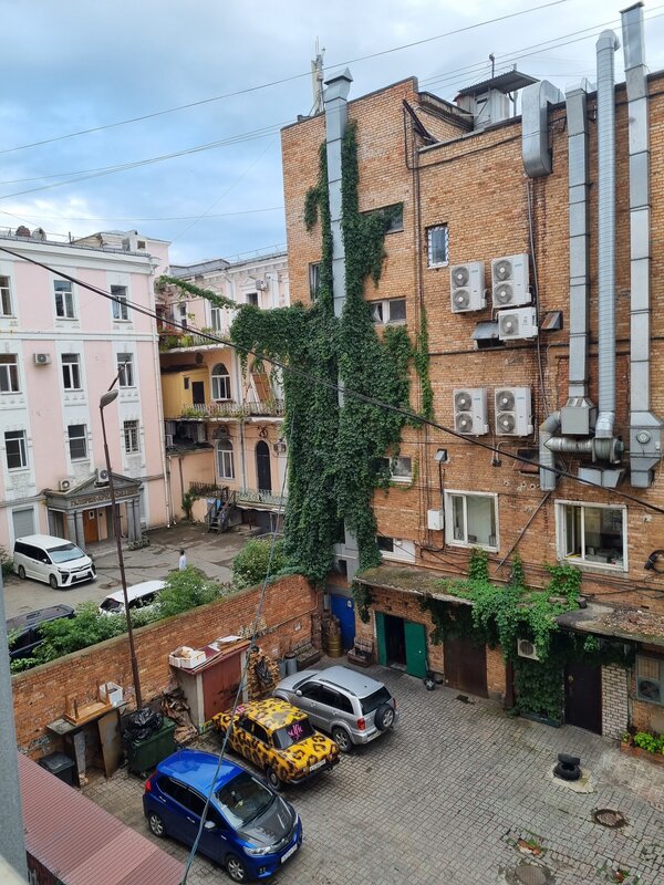 Сова — фото 13