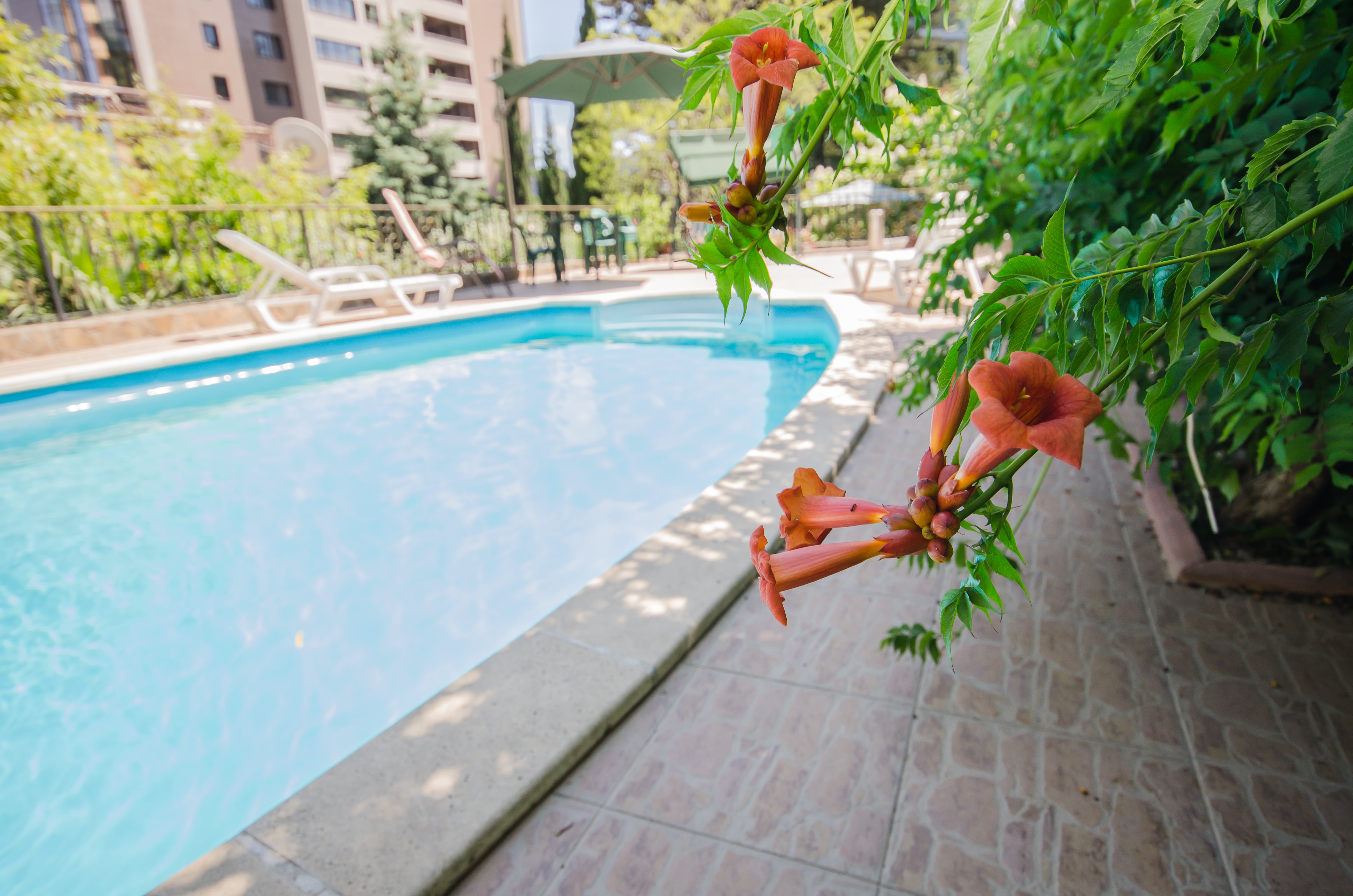 Фото Вилла Багратион