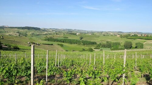 Внешний вид отеля Cà Rapulin - Agriturismo в Калоссо, фото 3