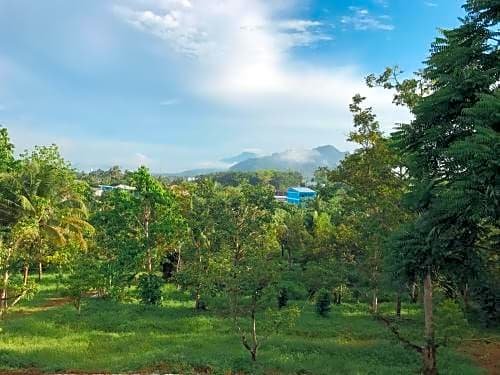 Фото The Box House