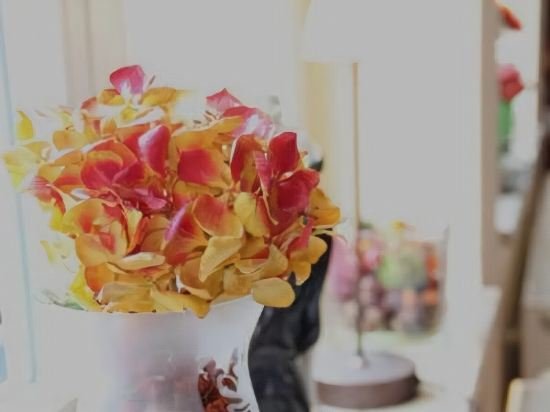 Фото Der Insulaner - Hotel & Restaurant