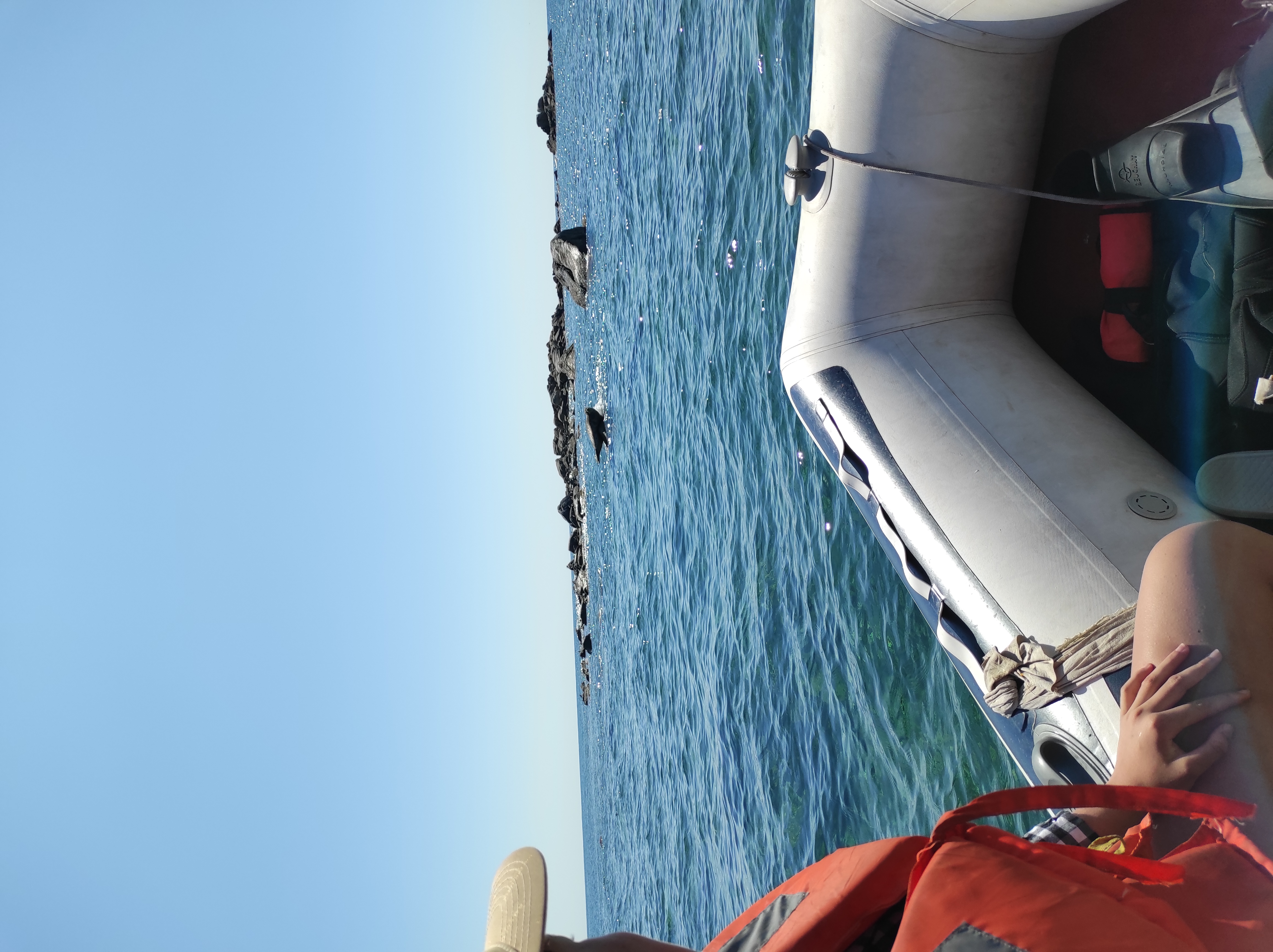 Фото Чинтамани