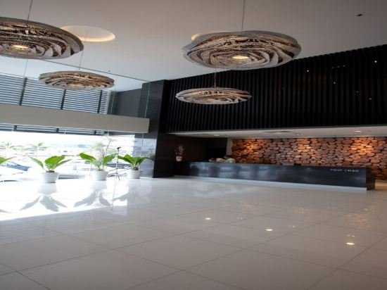 Фото Pinetree Hotel