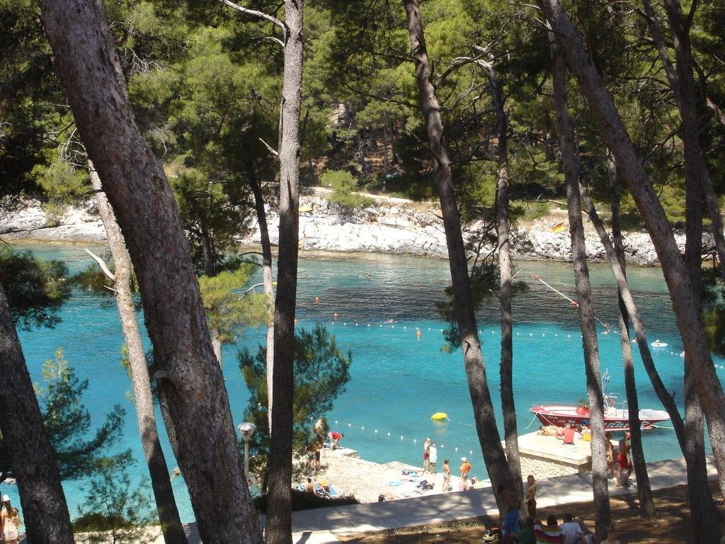 Фото Villa Mirta