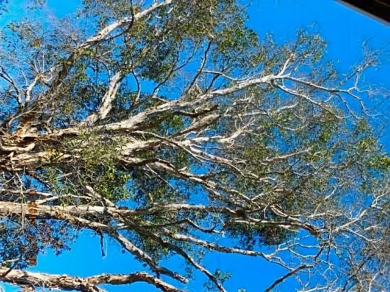 Фото Torquay Terrace Bed & Breakfast