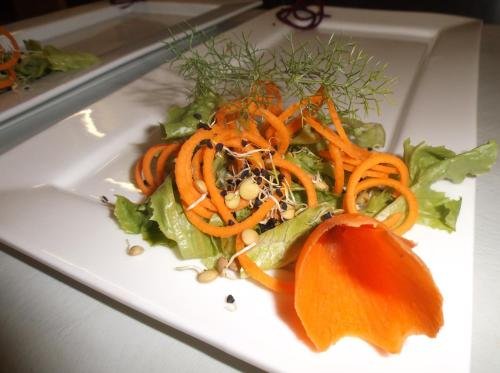 Фото Old Mill Lodge, Working Ostrich Farm & Restaurant, Oudtshoorn