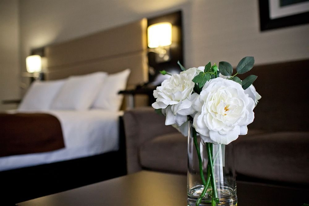 Фото Ramada by Wyndham Ottawa On The Rideau