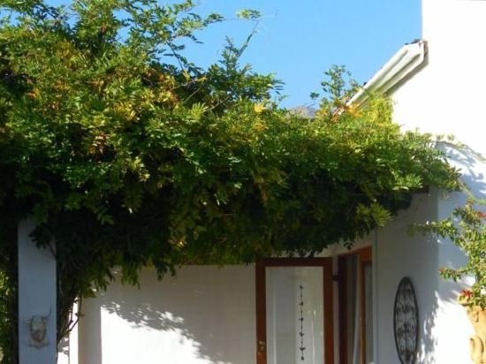 Фото The Vineyard Country House