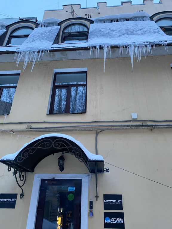 Фото Simple Эдельвейс